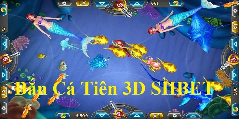 Nắm vững quy định để có chuyến chinh phục đại dương hiệu quả