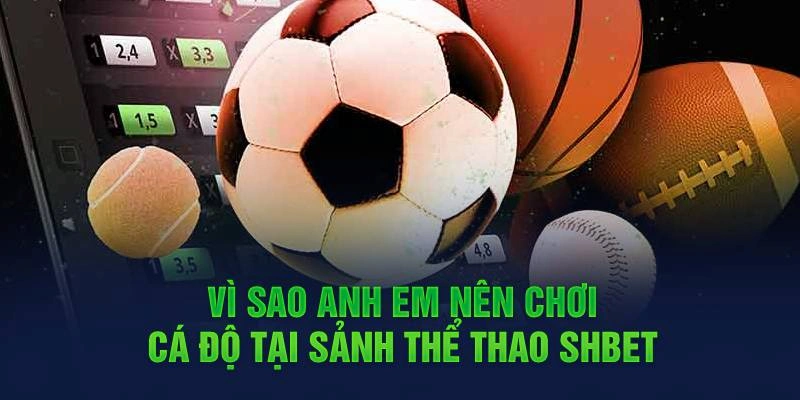 Hội viên có thể cá cược ở nhiều bộ môn đối kháng khác nhau